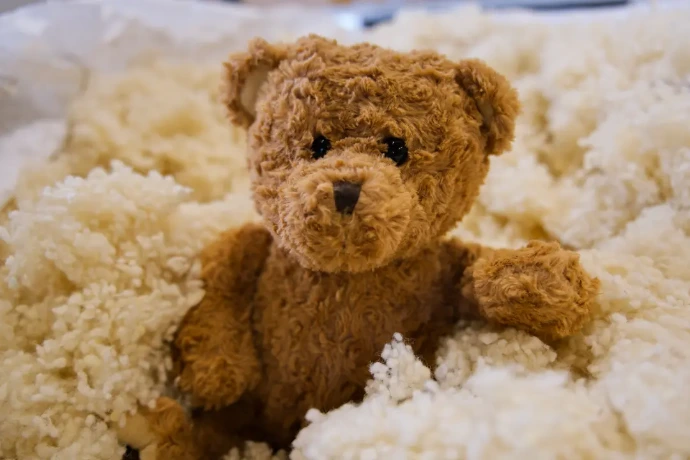 Knuffelbeer