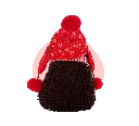 Ebbe_De_Winterse_Egel_Achterkant_knuffel_build_a_bear_teddybeer_maakeenbeer.webp