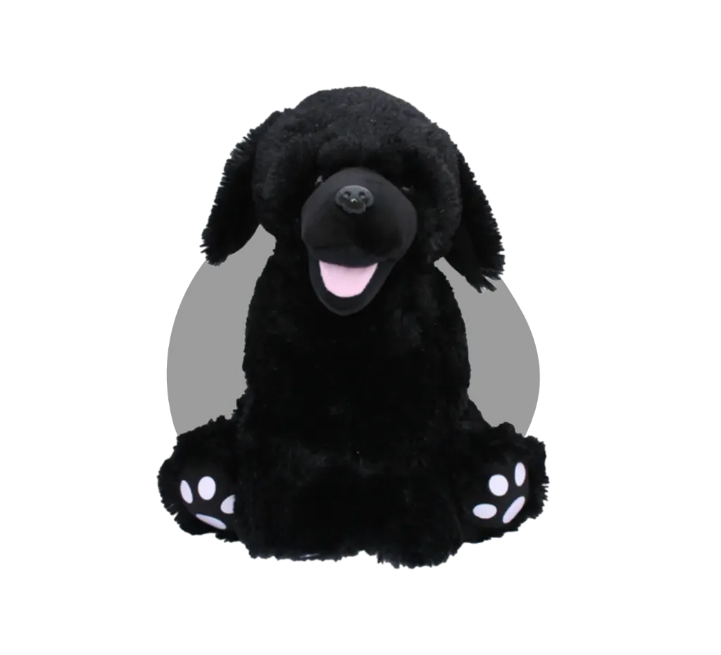 Shadow De Zwarte Labrador