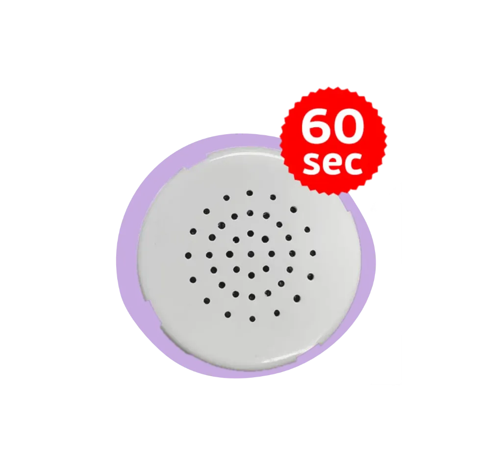 Geluidsmodule - 60 seconden